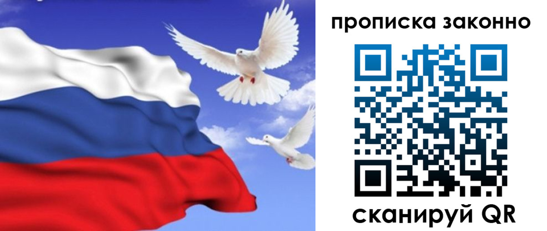 прописка в Ермолино